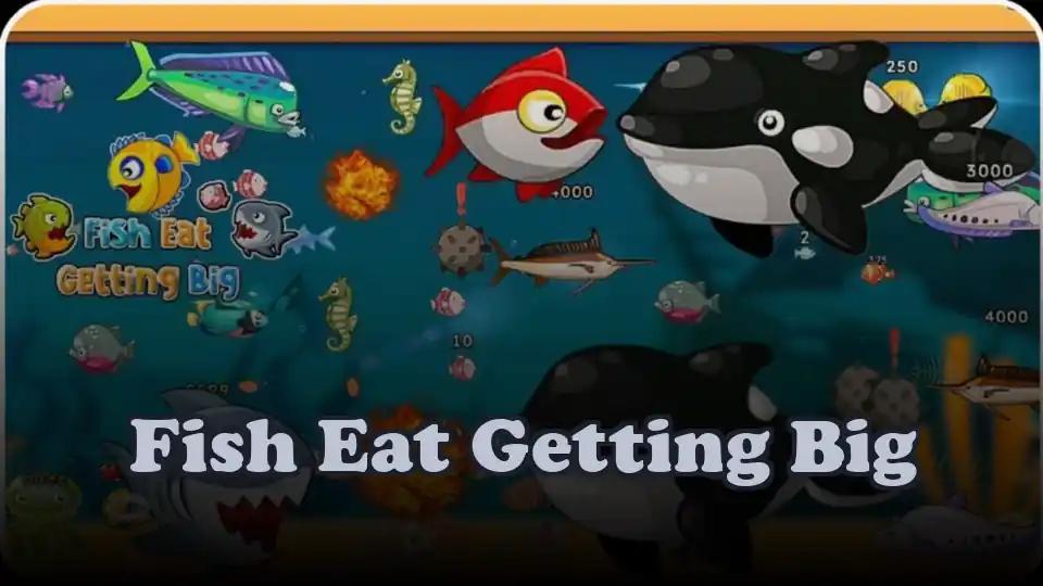 Fish Eat Getting Big