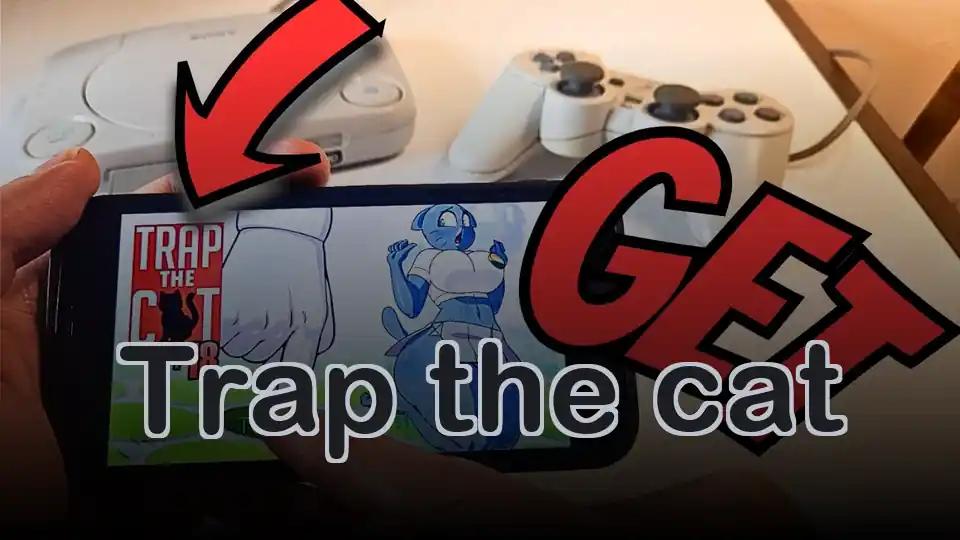 Trap the cat