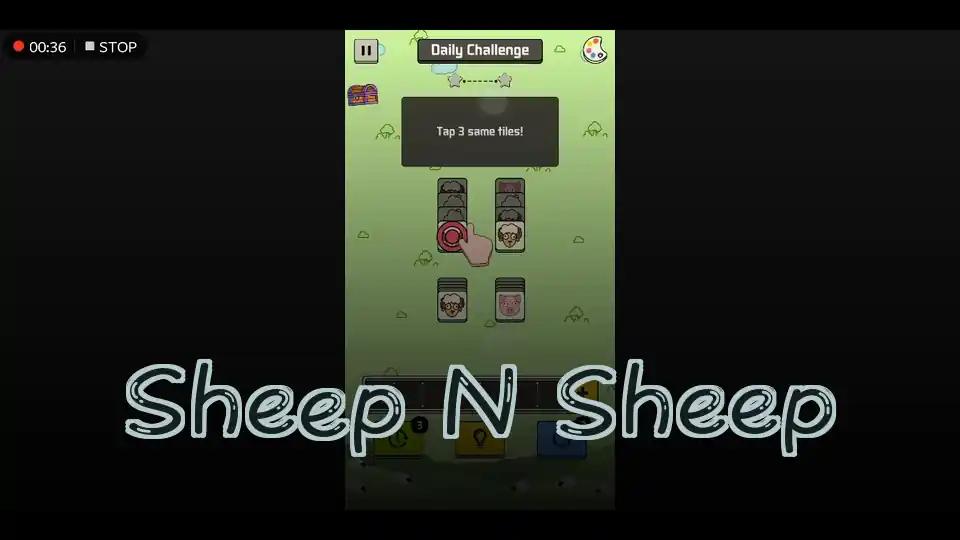 Sheep N Sheep