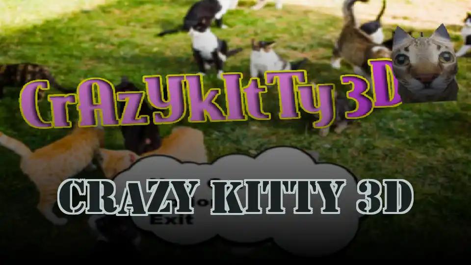 Crazy Kitty 3D
